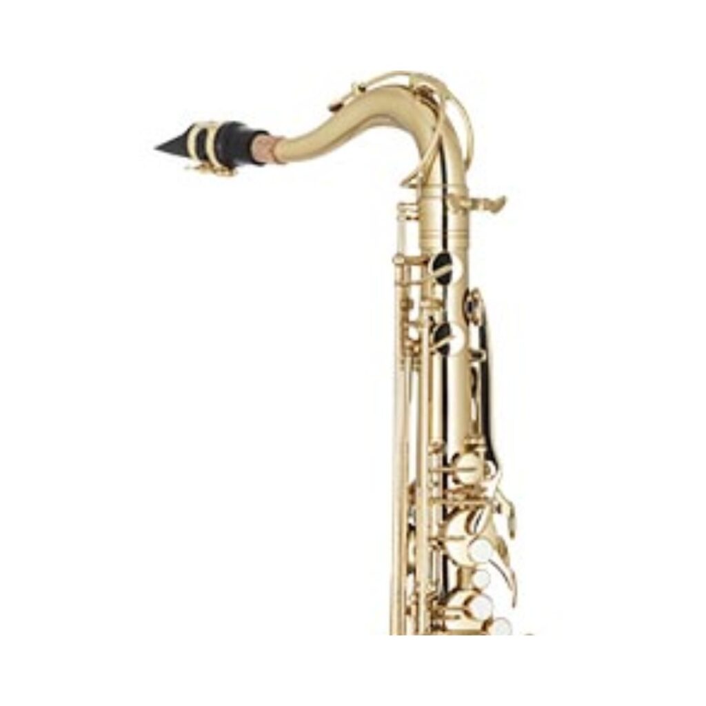 SAX TENOR EAGLE LAQUEADO COMPLETO ST503 Rossi