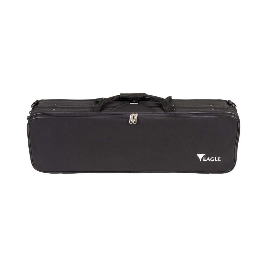 Amplificatore Per Chitarra Acustica Gear4music Da 15W - Con Equalizzatore A 3 Bande E Ingresso Aux