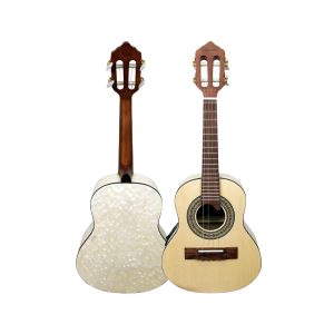 CAVACO GIANNINI BIRD EYE EAC NS26043