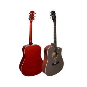 VIOLAO GIANNINI EAC DREADNOUGTH GDC1 CTJ 27209