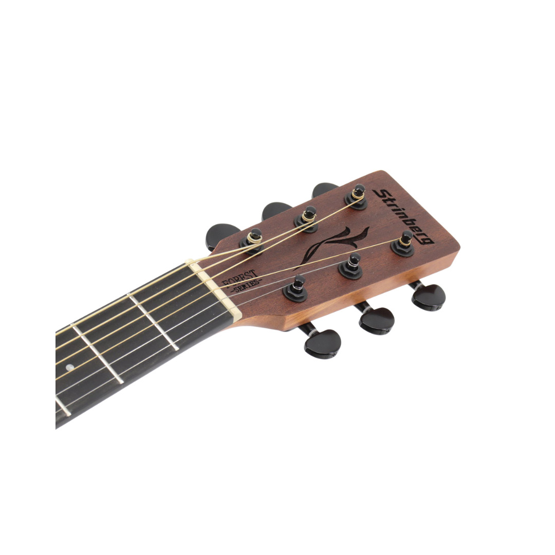 VIOLAO STRINBERG ACO FOLK FOREST FS4D MGS13141 - Imagem 4