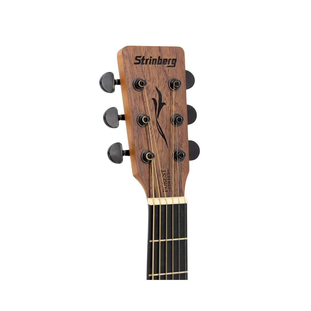 VIOLAO STRINBERG ACO FOLK FOREST FS4D BGS 15483 - Imagem 4