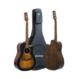 VIOLAO STRINBERG DIAMOND FOLLK DD2SC SKB 15767