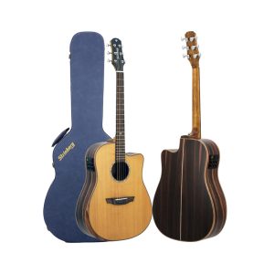 VIOLAO STRINBERG DIAMOND DD5SCR RT NS 15610
